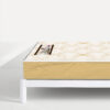 crescendo foam